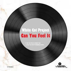 Can You Feel It (D-Richhard remix)