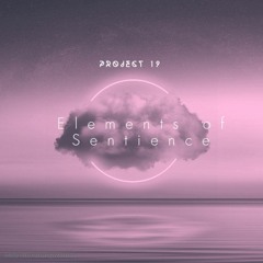 Elements of Sentience