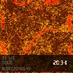 01Duo - 33 1/3