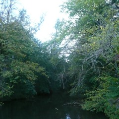 im sorry i suck at goodbyes