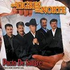 LOS TIGRES DEL NORTE MIX CON LINERS  BY DJ AZTECA