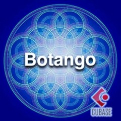 Botango - Cubase Indie Dance Template
