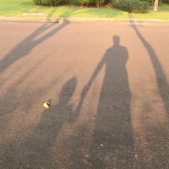 Shadows Where You Stood