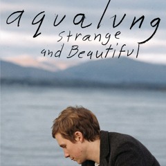 Strange & Beautiful (I'll Put a Spell On You) (From KCRW.Presents)