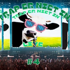 Trap Er Niet In #4 | REBiRTH Festival 2024 | Discover The Mayhem Warm-up Mix