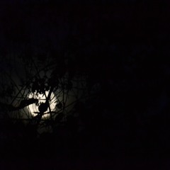 billie eilish - listen before i go + lluvia <3 / karaoke version