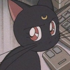 .decoro - Cnsprcy