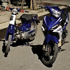 Bông Hoa Nở Muộn