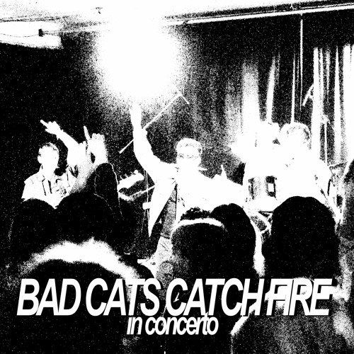 Stream Occhiali Veloci (bis) by Bad Cats Catch Fire