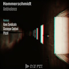 Hammerschmidt - Ambivalence (Original Mix) - PREVIEW