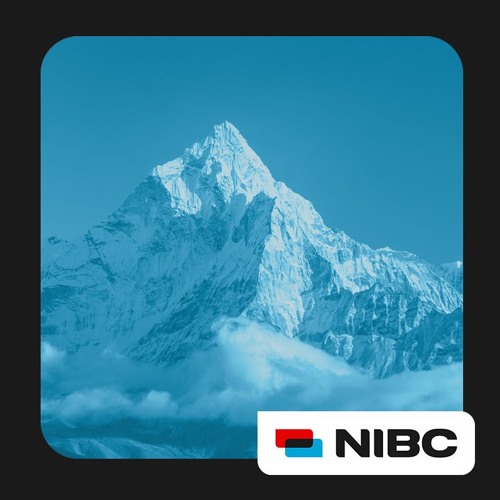 De bankier en de vliegtuigcrash - NIBC Radiospot