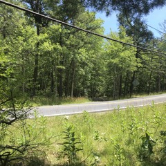 Stream Tomoyuki Asakawa (朝川朋之) - Endless Tide (ゆくえなき夜に
