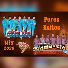 Dj Taz - Mega Mix Conjunto Agua Azul Y Conjunto Primavera 2020 Mix
