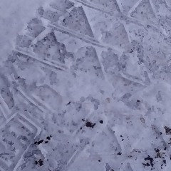 Polar Express