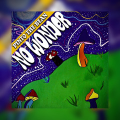NO WONDER Prod. by Almighty6