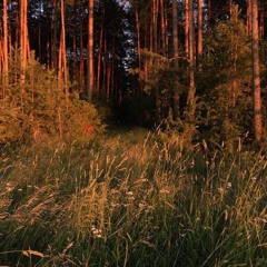 playingtheangel - хочу тебя юзать