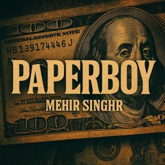 Paper Boy Feestyle - Mehirsinghr