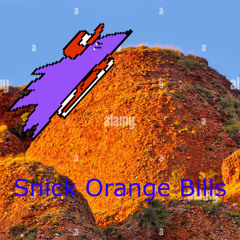Snick Orange Bills