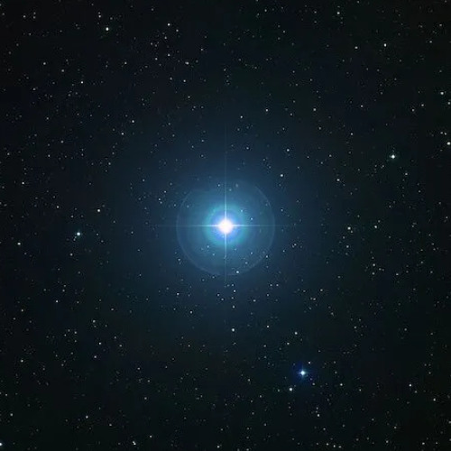 polaris (flesh x taurs)