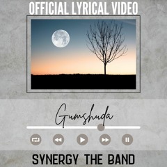 Gumshuda Synergy the band Feat Daniyal Badshah