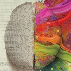 Expectation Meets Reality