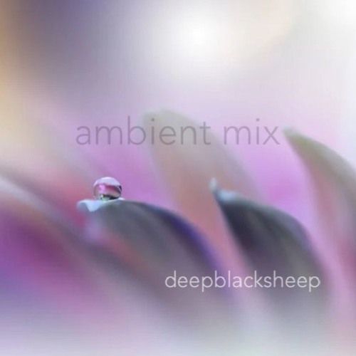 Ambient MIX_001_deepblacksheep