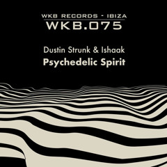 DUSTIN STRUNK & Ishaak -psychedelic spirit_master