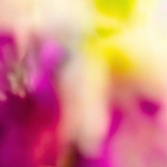 Ambient Buddhism Demo Jan. 14, 2025