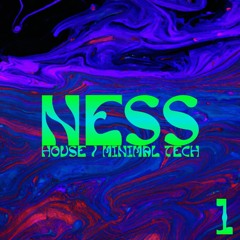 NESS TAPE 1 (HOUSE/MINIMAL TECH)