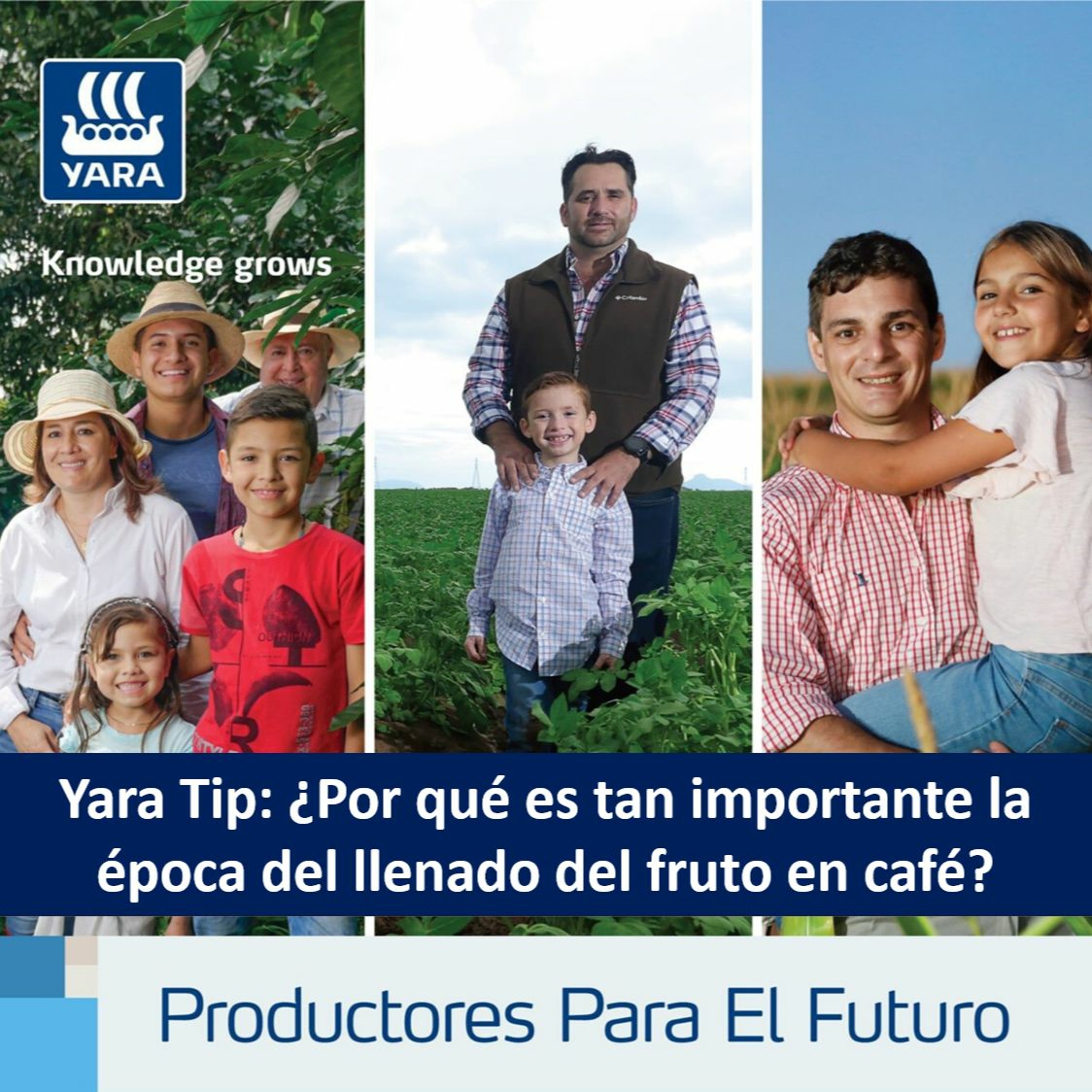 Productores Para El Futuro