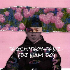 Bigcityboiz-Binz(DJ Nam Do)