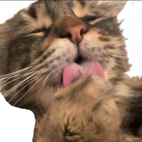 Til_liT Mix 19 (Club mix Lesson)