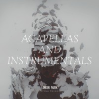 LOST IN THE ECHO (Instrumental)