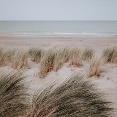 Pratique : Souffle et Corps | 10 minutes