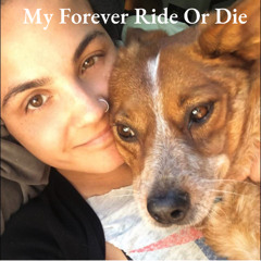 My Forever Ride Or Die
