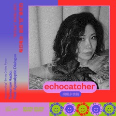 echocatcher - YOLO