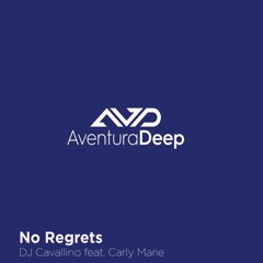 No Regrets DJ Cavallino Bass Mix