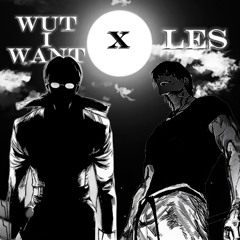 WUTIWANT X LES (TOJI X ARIMA)