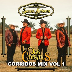 LOS DOS CARNALES MIX VOL 1 2020