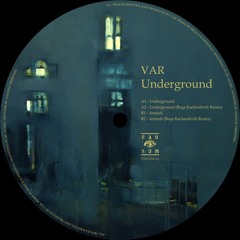 PREMIER'simir: VAR - Underground (Original Mix) | [PAULUM010]