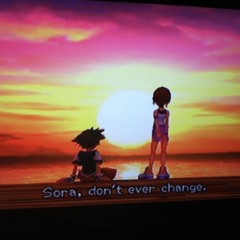 in the end; zelkova ynx