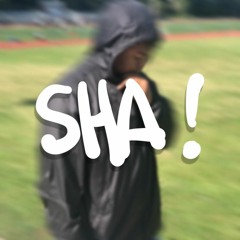 SHA! (shaunthe_kid)