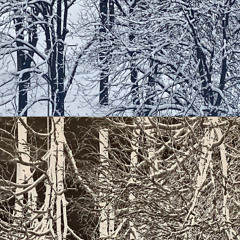 BATE CHAI , PIA MATE CHAI