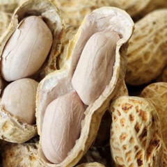KACANG LUPA KULIT MIXTAPE