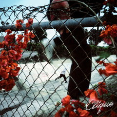 Above This Insanity (Remixed / Remastered)