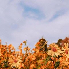 goneleft [prod.peril]