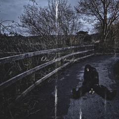 HAVE YOU SEEN ME? W/ DYRE [PROD. IDIO]