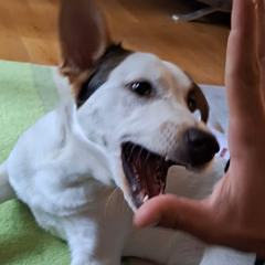 incapace