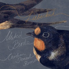 Liebeskid - Muted Birds (Christian Pensel RMX)