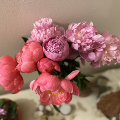 super 20 something model - SZA Cover